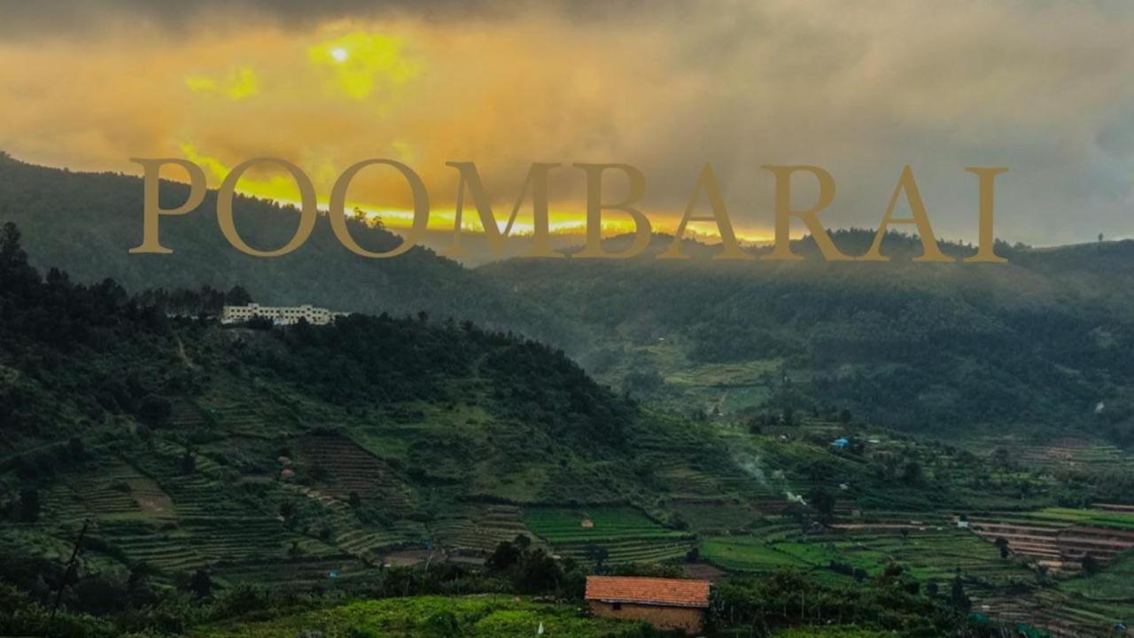 Tree Top Villa Kodaikanal Homestay Eksteriør bilde
